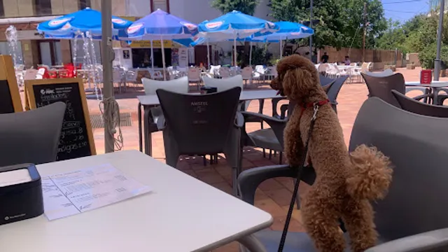 Restaurante & Cafetería Charli