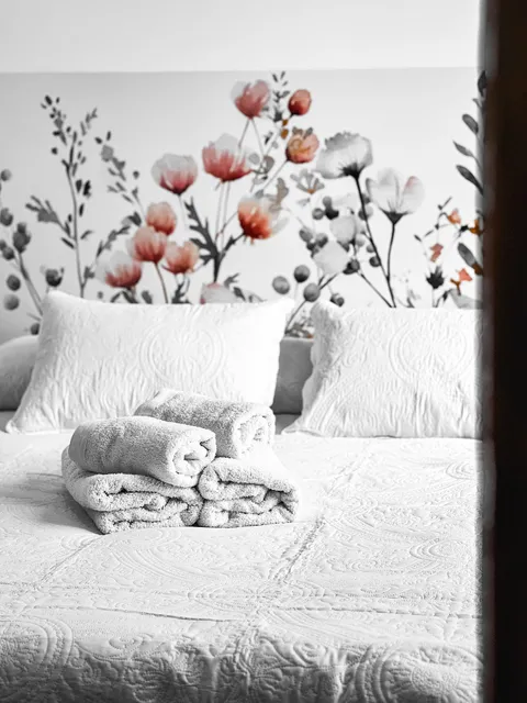 APARTAMENTO MOLINO PLATERO