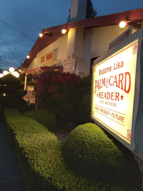 Madame Lisa Palm & Card Reader