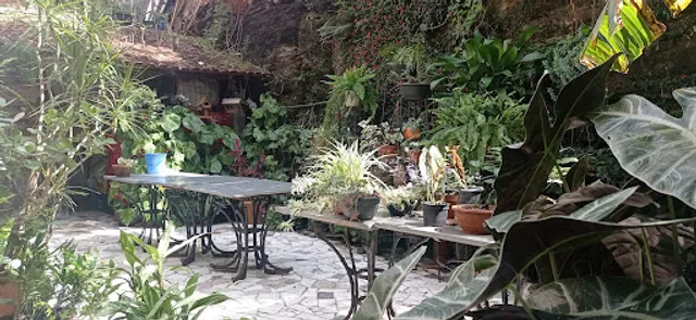 Hotel e Restaurante Sinhá Olimpia - Mariana Mg