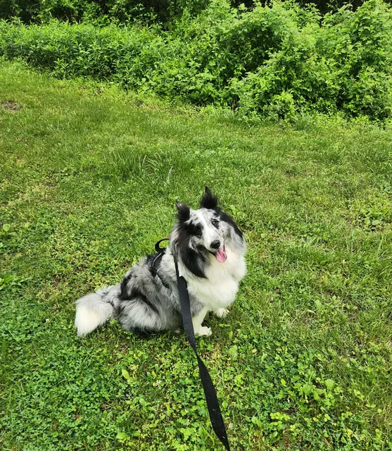 C&O Canal National Historical Park