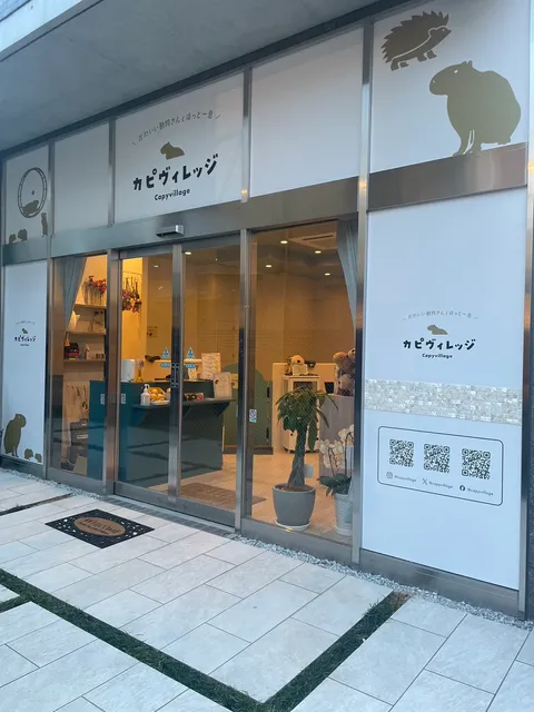 Capy Village - Capybara Cafe