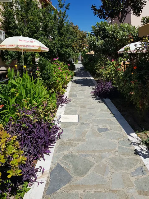 Christinangela kokkari