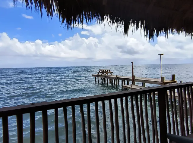 Camp Bay Palapa Bar & Restaurant