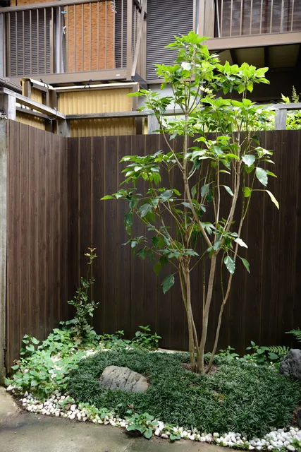 Shiki Homes | HARU 春