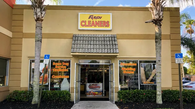Flash Cleaners
