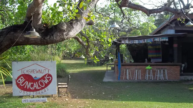 Koh Mook Villa Cashew Nut