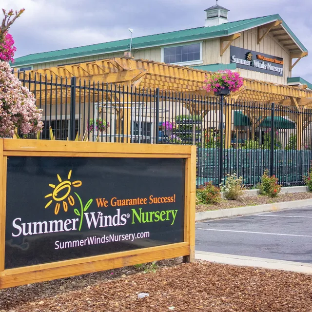 SummerWinds Nursery