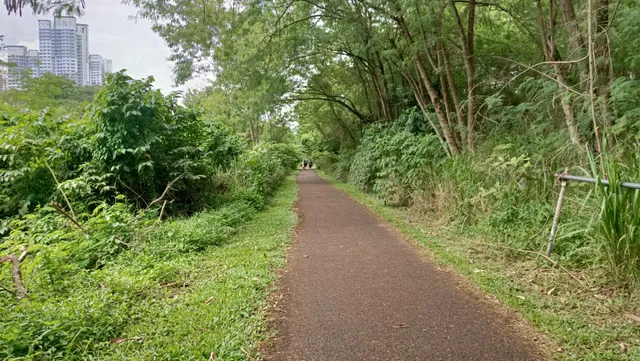 Rail Corridor (Bukit Timah)