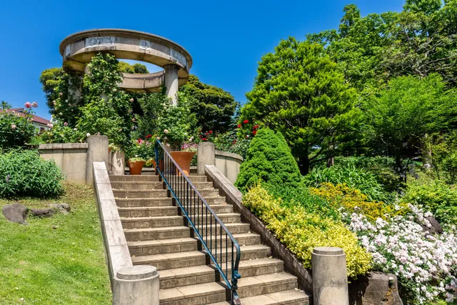Garden with a Rose and cascade