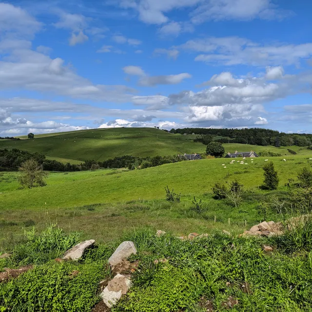 Northlees Farm
