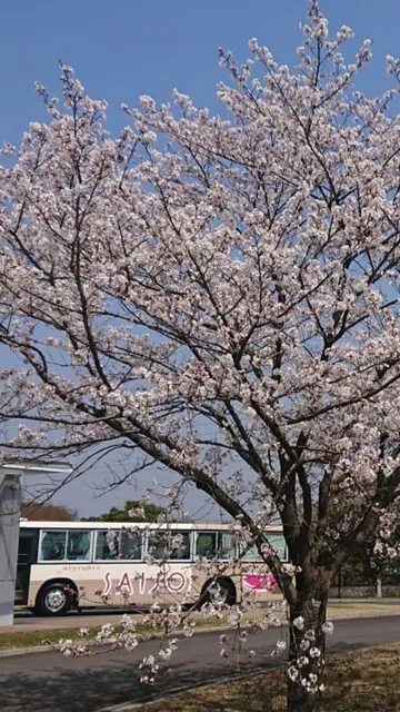 Saitama Women's Junior College