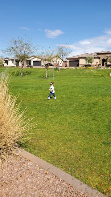 The Meadows at Camino á Lago HOA Park