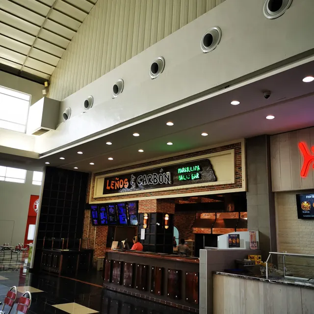 Planta Leños Y Carbon brazzeiro