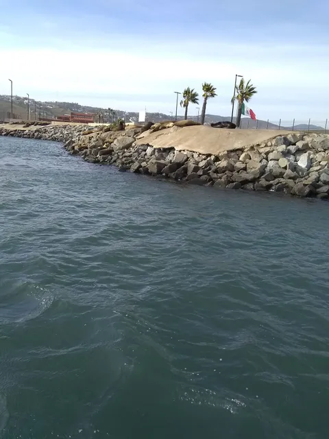 Administración del Sistema Portuario Nacional Ensenada