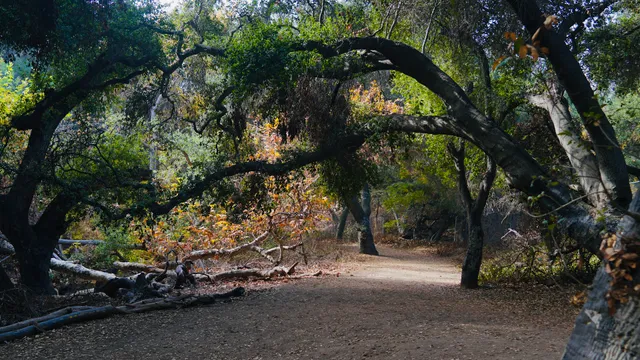 Valley Center Staging Area & Trailhead
