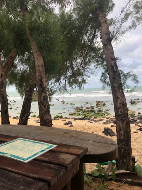 Tavarua Surf Bar