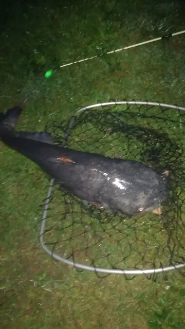 Midwest-Cedar Fish Farm