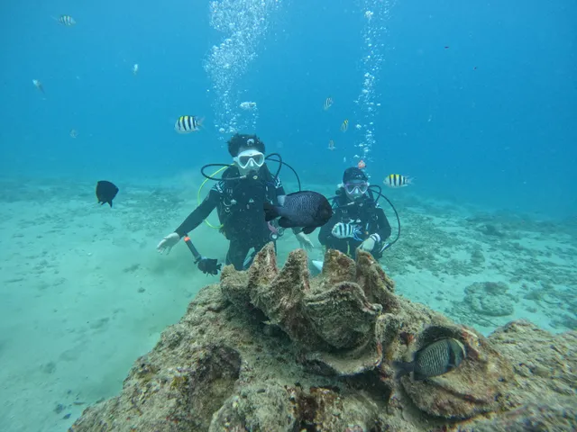 鯊墾丁潛水旅店 Sharkenting Dive Center