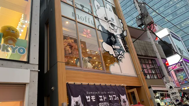 Samoyed Cafe moffu Takeshita street