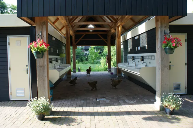 Heritage The Boomerang