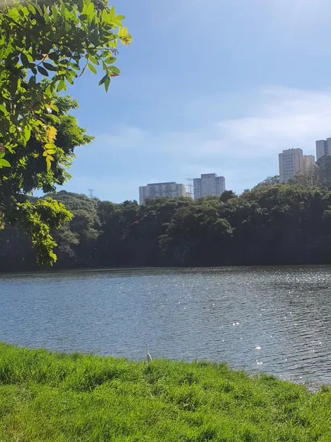 Sports Court Park City of Toronto