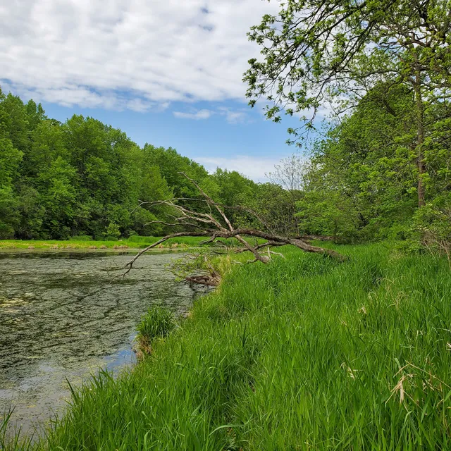 Stickney Run Conservation Area