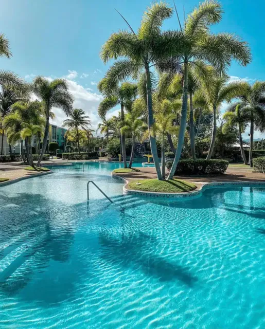 Oceanside Adventures