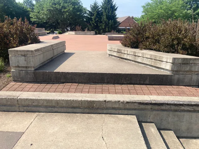 Rob Dyrdek/DC Shoes Skate Plaza