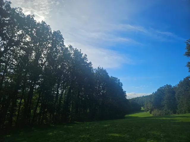 Ferienhof "WaldEsel"