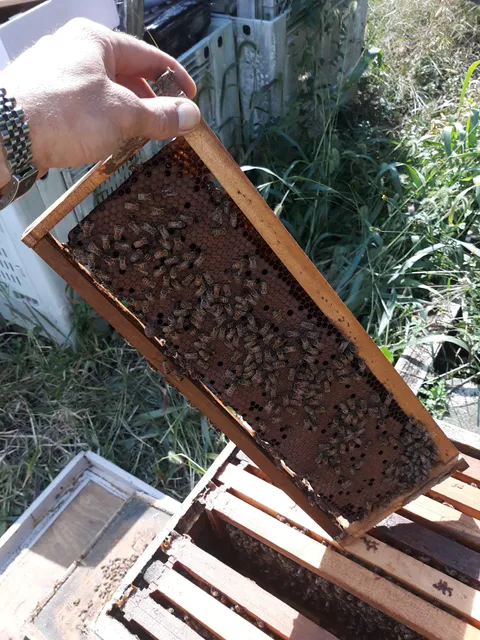 Riva Gardens & Farm Market