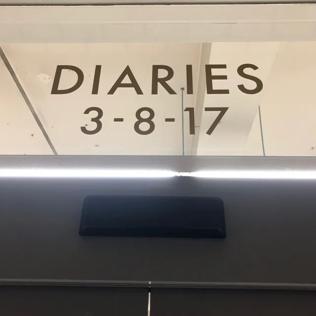 DIARIES / ダイアリーズ