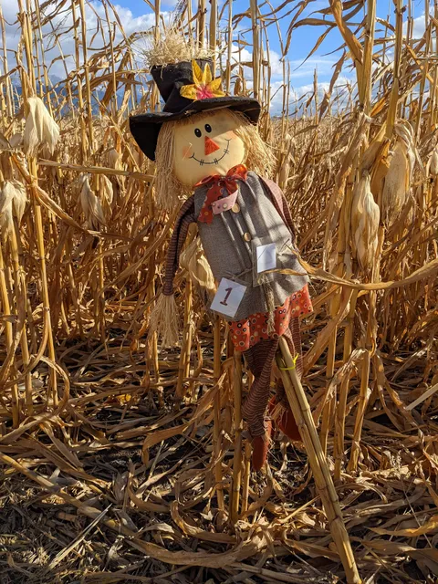 Fritz Corn Maze