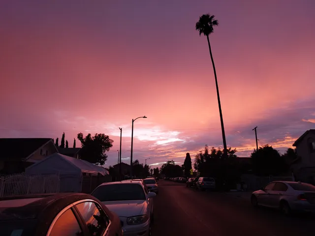 South Los Angeles Senior Activity Center