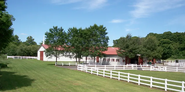 Brushy Hill Farm