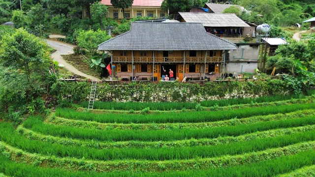 Pham's House - Homestay & Cafe