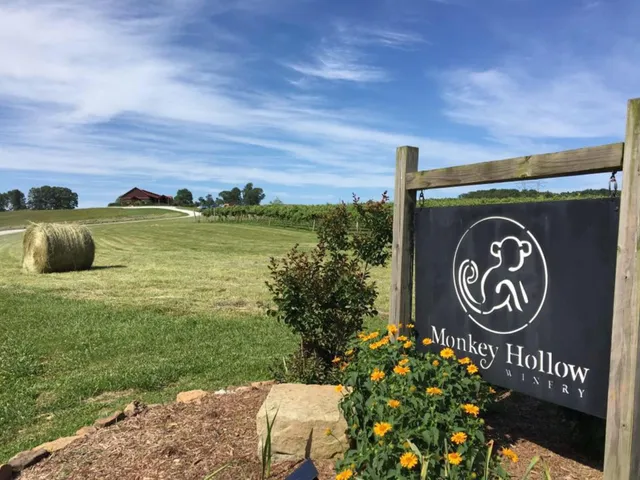 Monkey Hollow Winery & Distillery