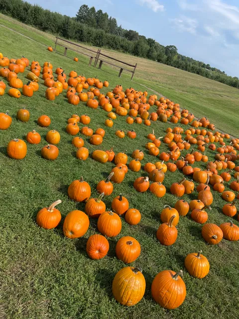 Windy Hill Estate: Orchard, Cidery, Vineyard, Winery, Farm Store