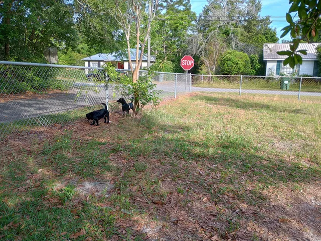 Jesup Dog Park - Small Dog Park