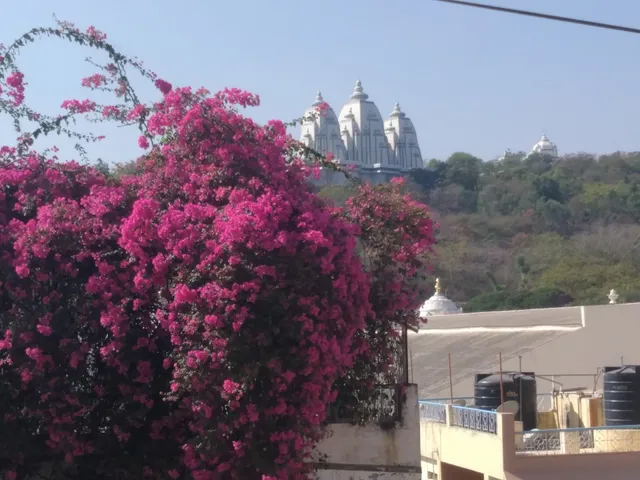 Sri Pratibha Guest House