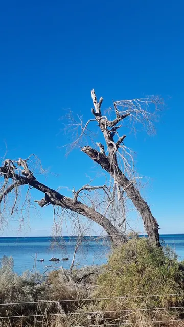 Dunsborough Beach Cottages