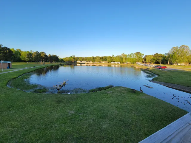 Cabot Community Pond
