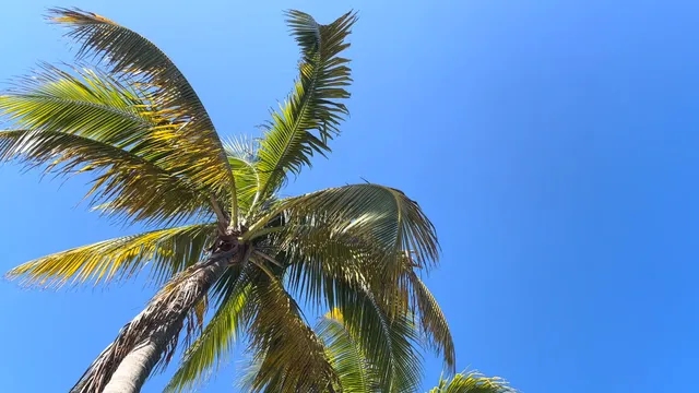 Bayfront Park