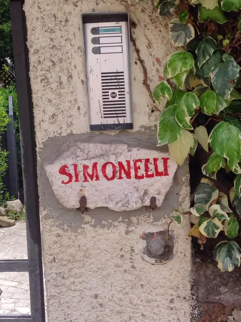 Simonetta Ai Musei Vaticani