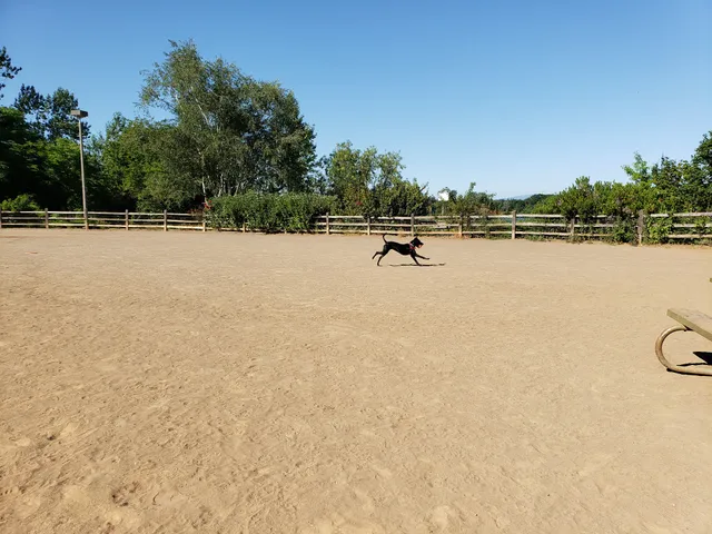 Willamette Park Off-Leash Dog Area