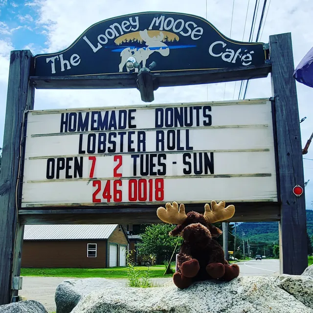 Looney Moose Cafe