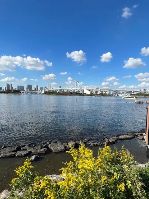 Anchor and Chain Art