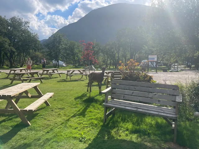 Red Squirrel Campsite Scotland