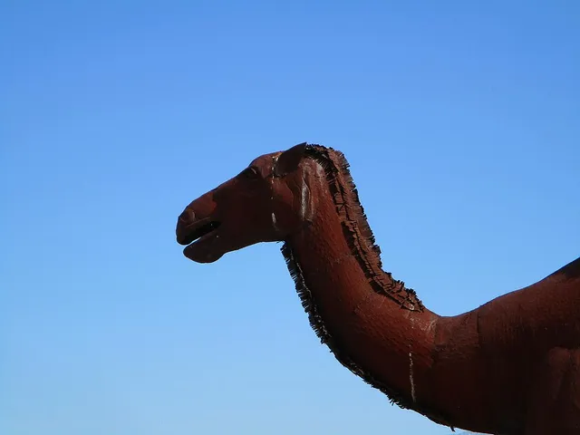 Kneeling Camel Sculpture