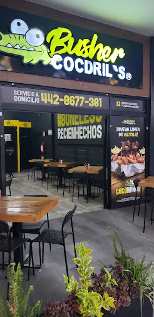 Busher Cocdril's Plaza Real Milenio